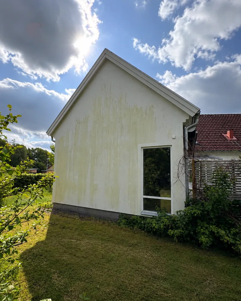 Samma fasad före rengöring med synlig påväxt